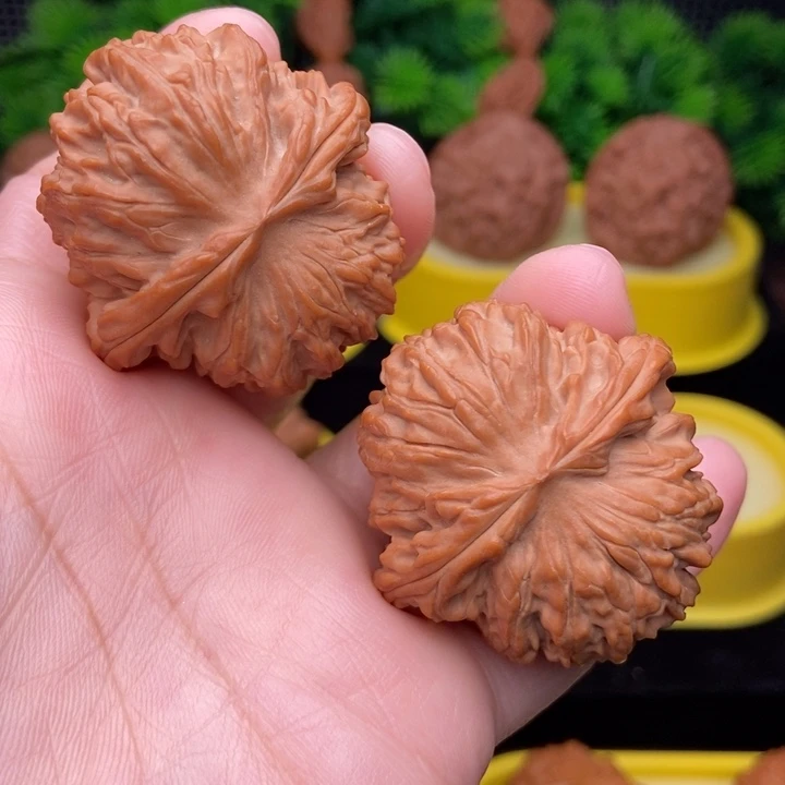 红豆元宝41全品1111111