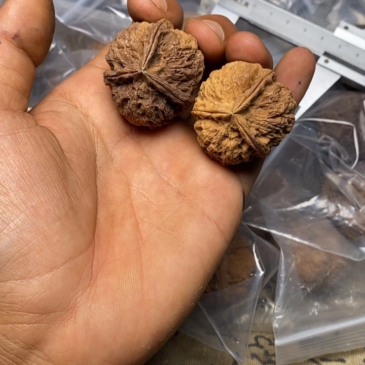 文玩核桃把件正文铁核桃39号
