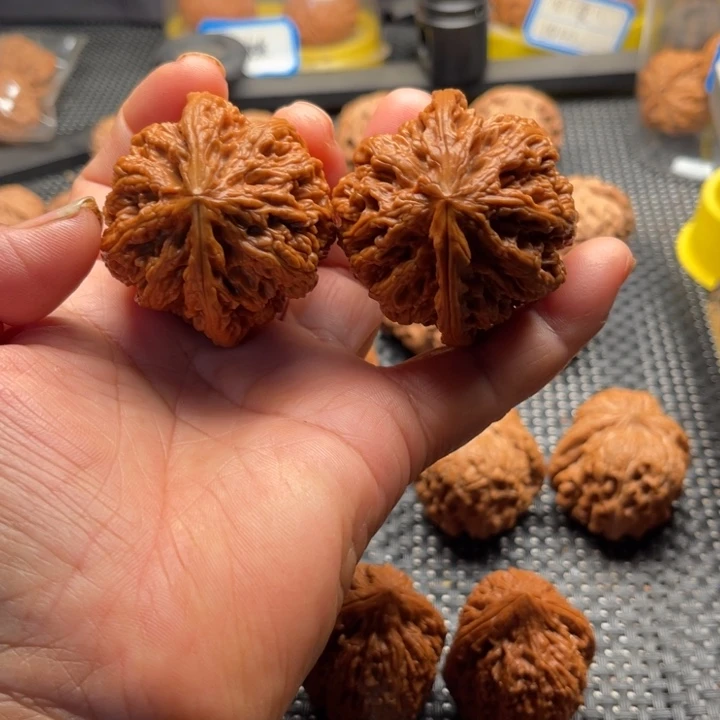 文玩核桃把件大粗筋48