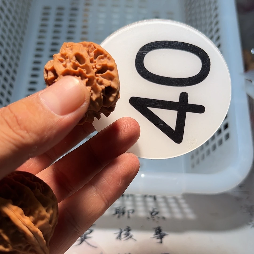 ****卓文玩核桃，白色40号