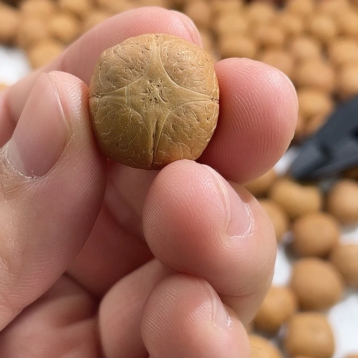 ￴***7凤眼菩提手串尼泊尔小凤眼