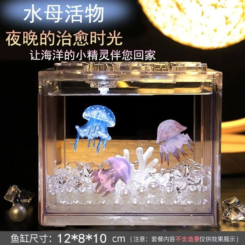 【包活到家】宝藏小水母宠物好养无电小孩子礼物