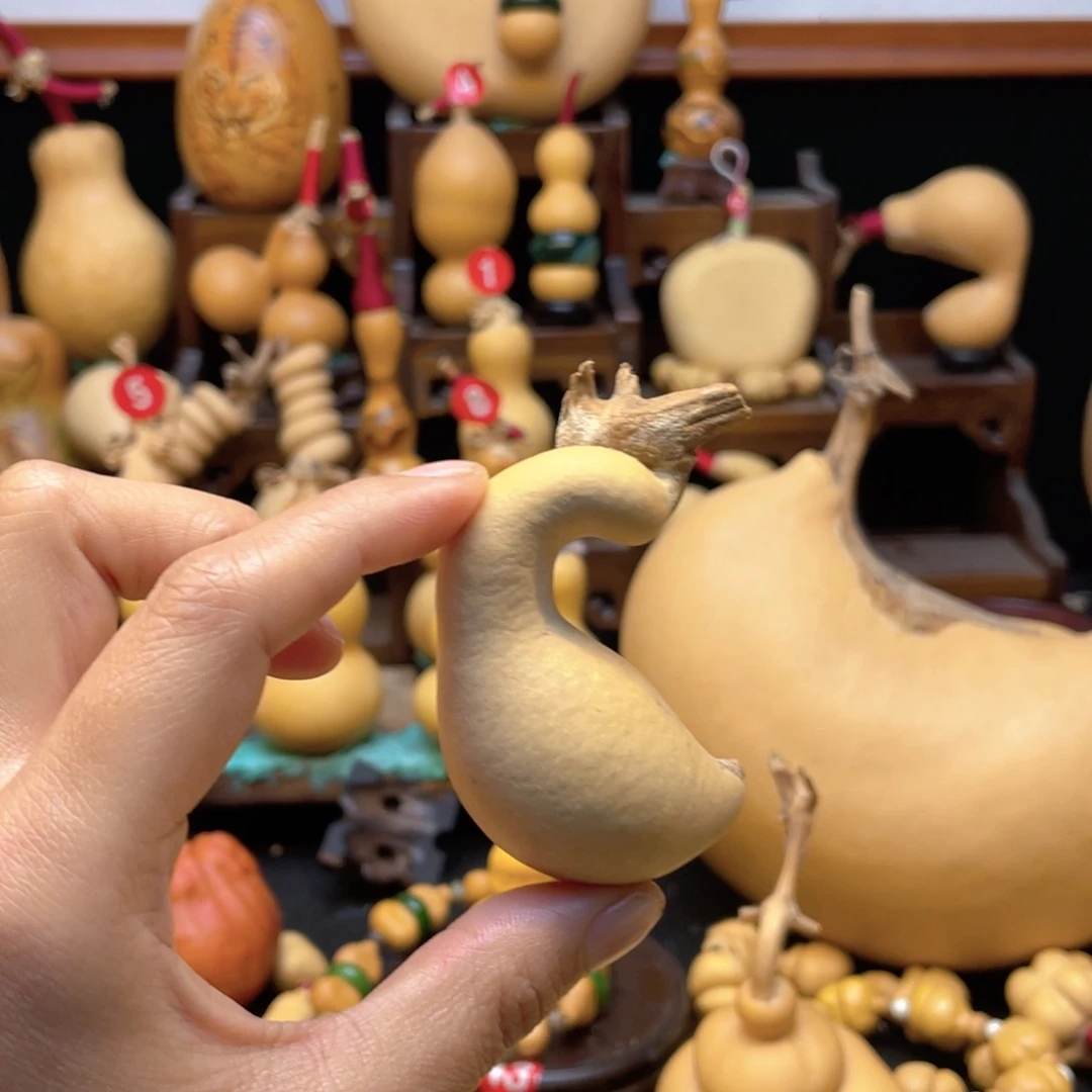 收**漫大自然的秘密第十一节