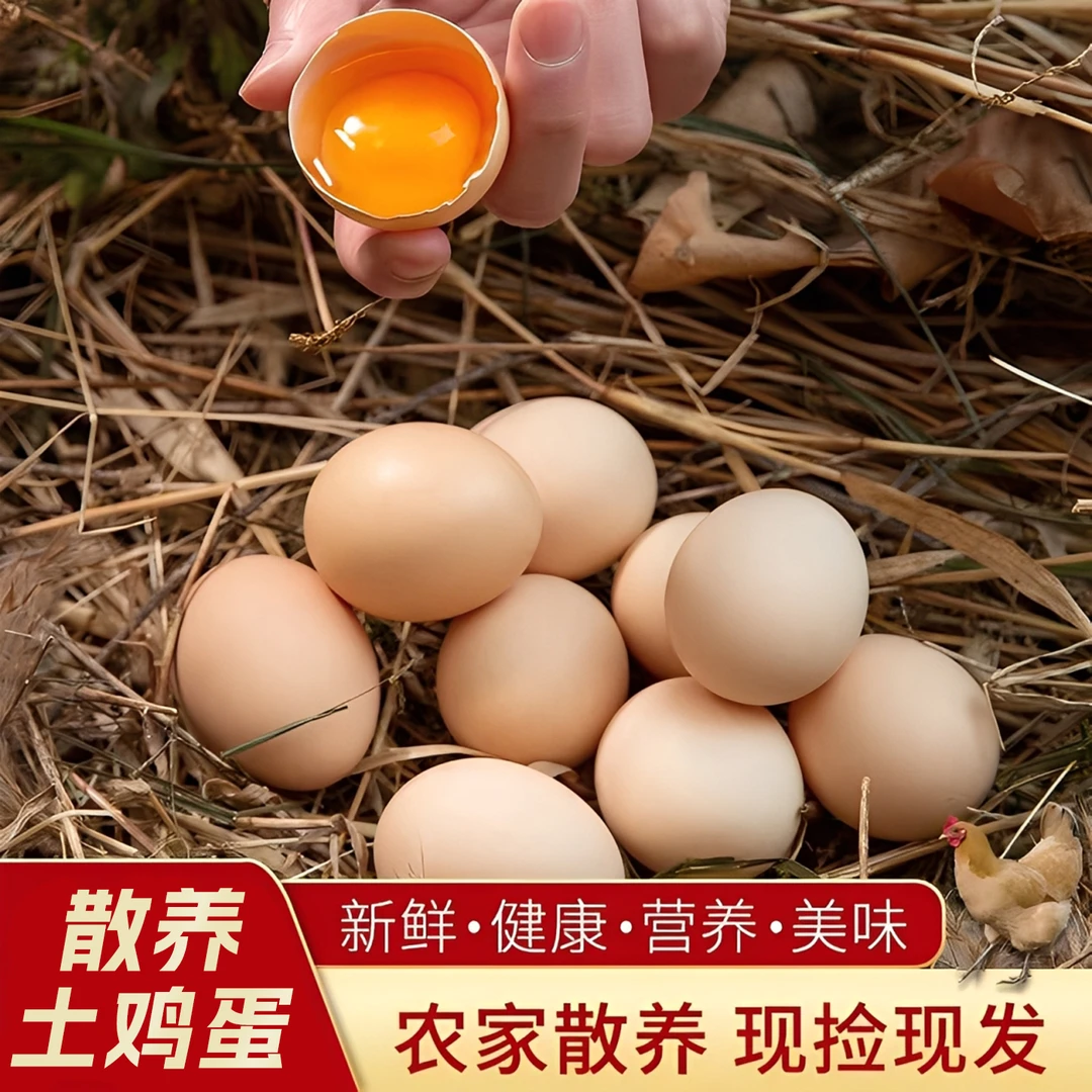天津蓟县盘山山林散养柴鸡蛋40枚 无抗生素无色素 现捡现发次日达