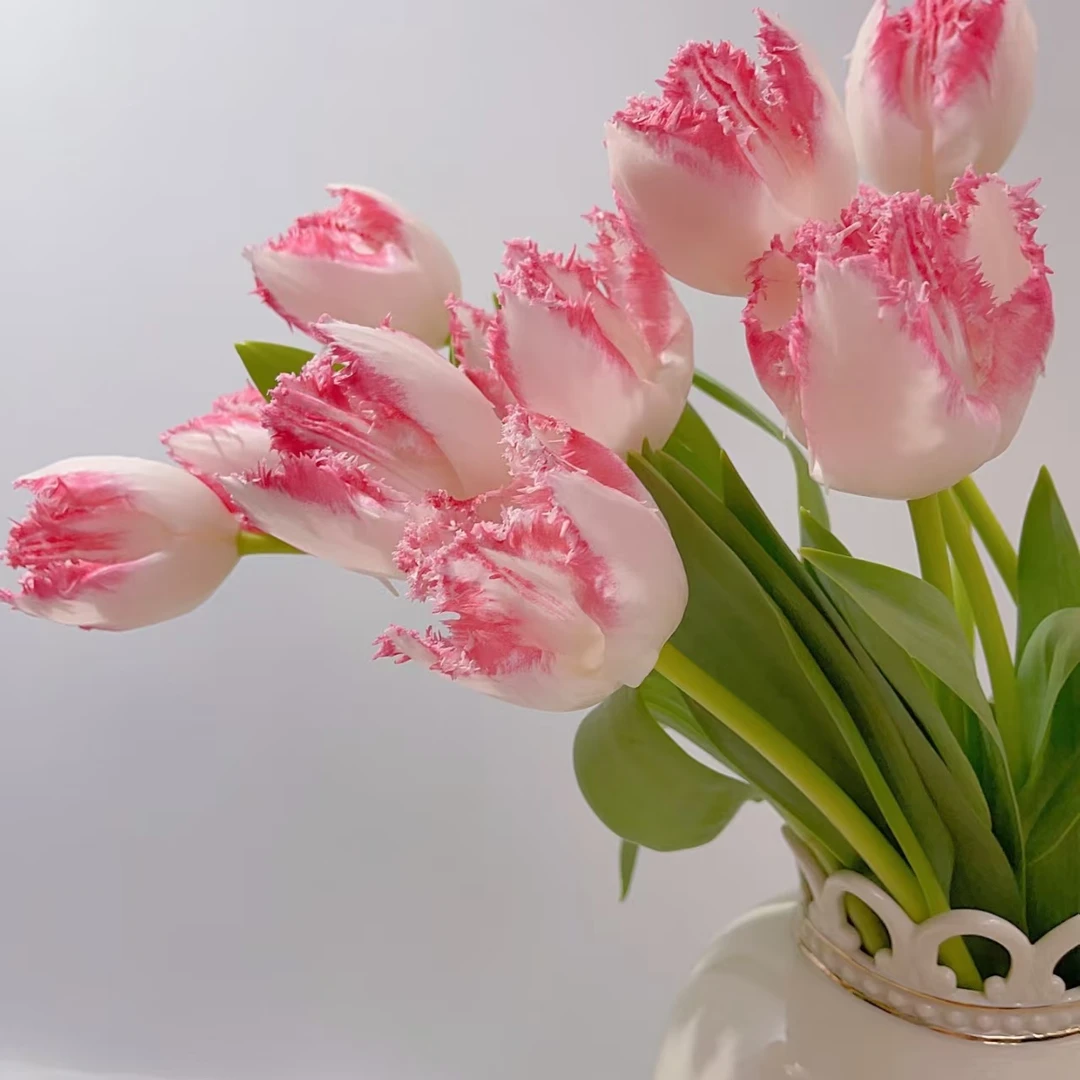 仙女座郁金香网红款家里水养鲜切花办公室插花东北基地包邮