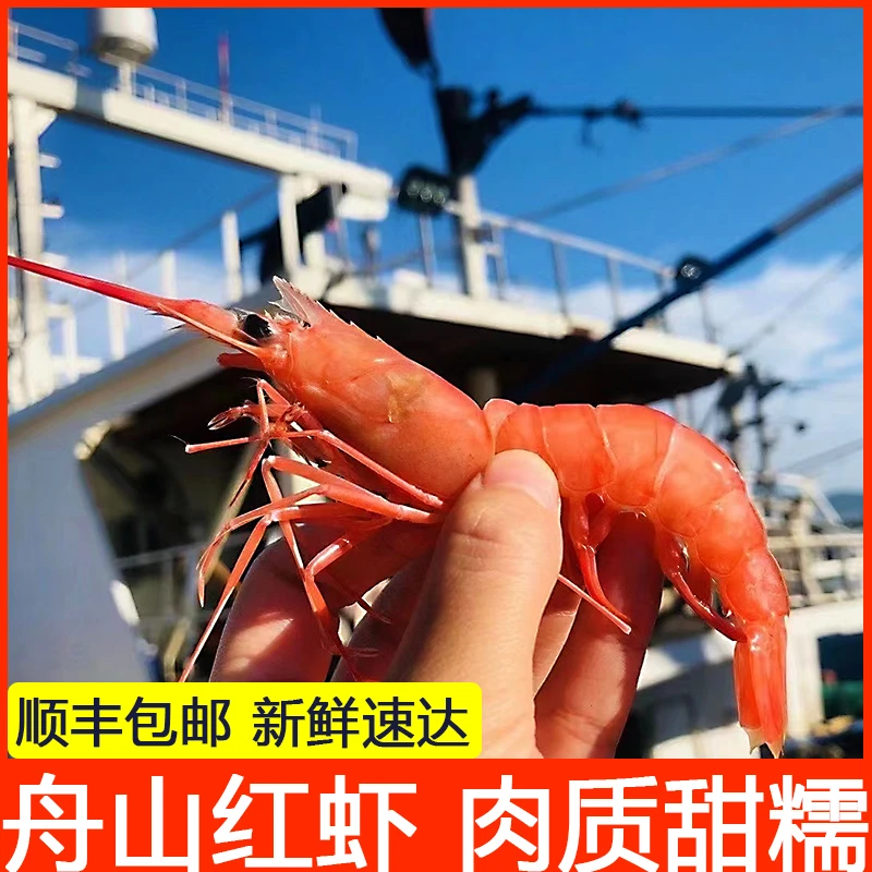 舟山海鲜野生红虾东海水产大红虾鲜活海虾海捕虾可剥虾仁冰鲜3斤