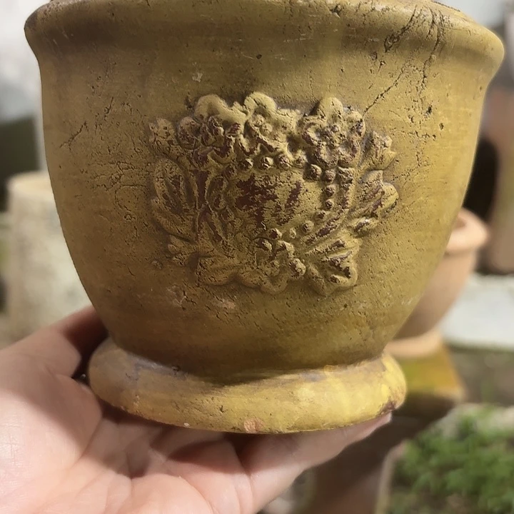 许纯的花房古铜色圆口盆