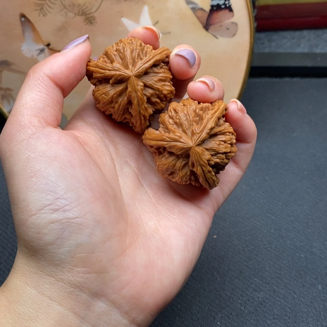 青****)白狮子111111111111