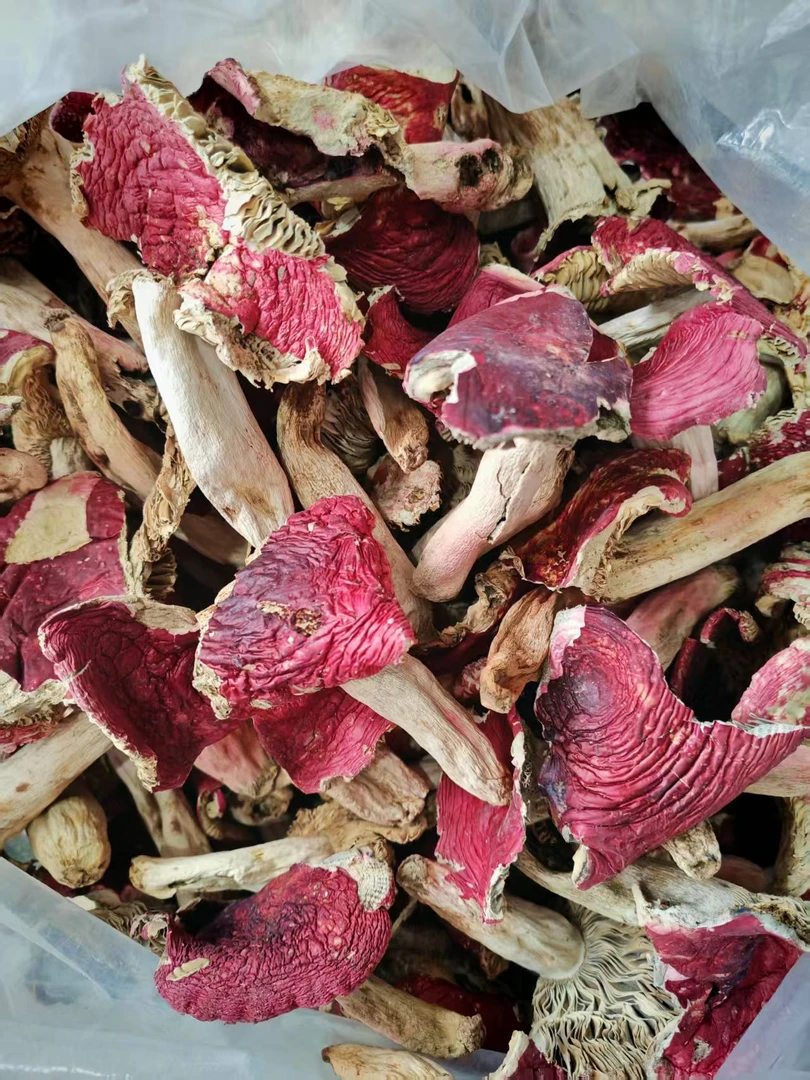 云南半边红菇口感脆甜