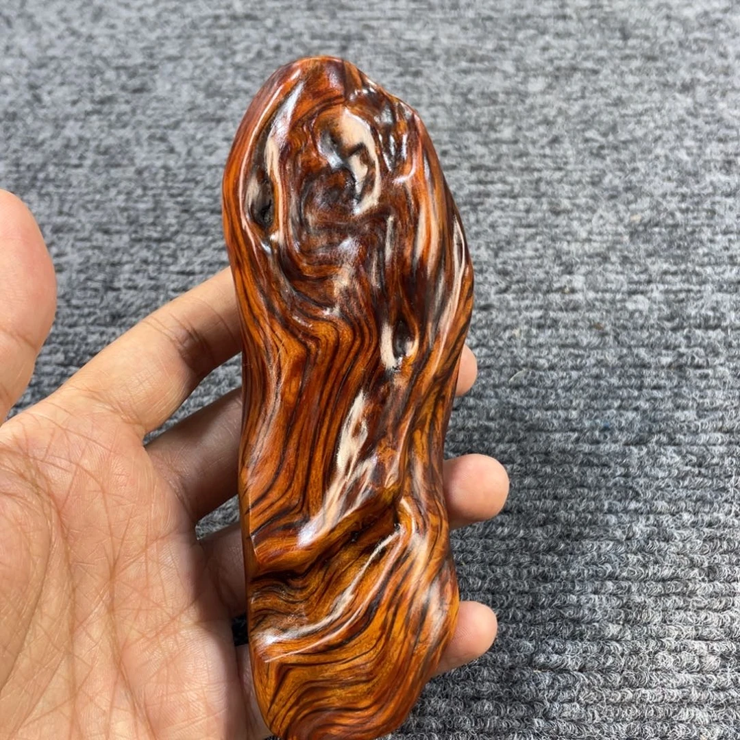 柏木（崖柏）太行崖柏666666666