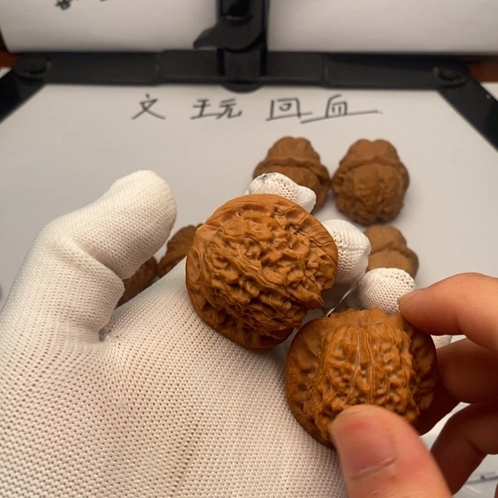 核桃血麒麟血麒麟