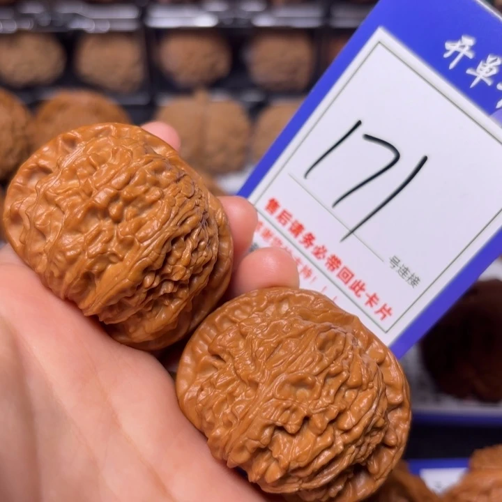 把件文玩核桃47白狮子171