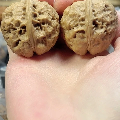 文玩核桃把件西域陀王带彩42