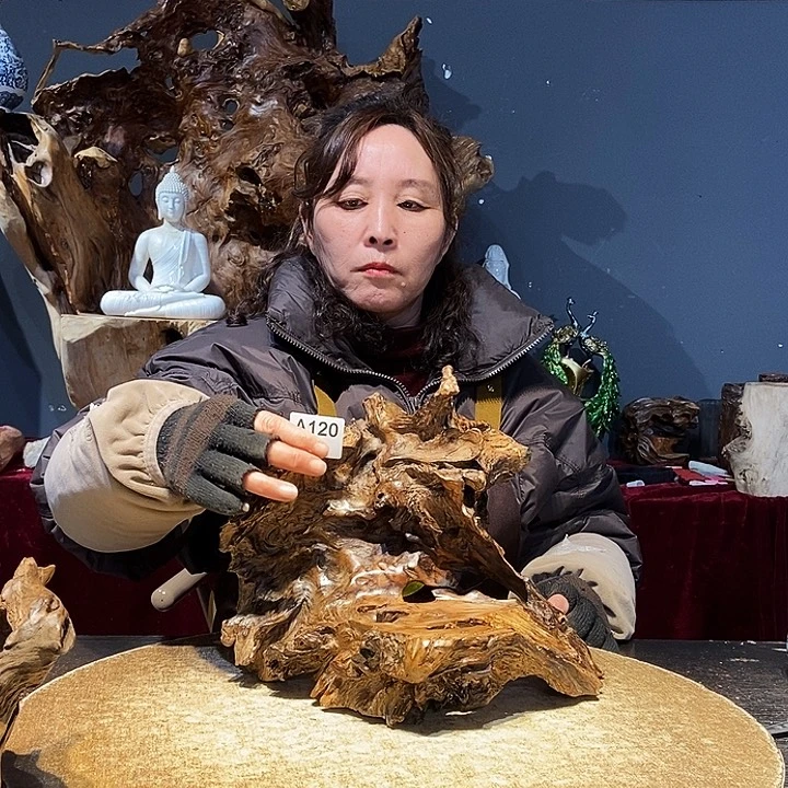 ?****）120株木底座随行根艺