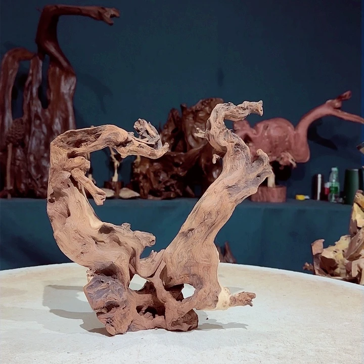 黑果木延*集489金丝红木羊蹄甲半成品