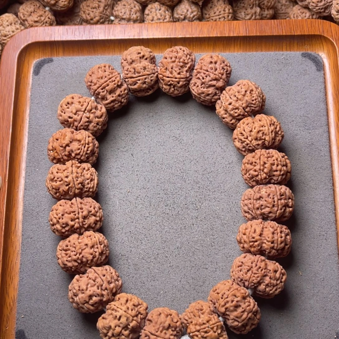 菩提籽类13号金刚菩提矮壮原生态六瓣25