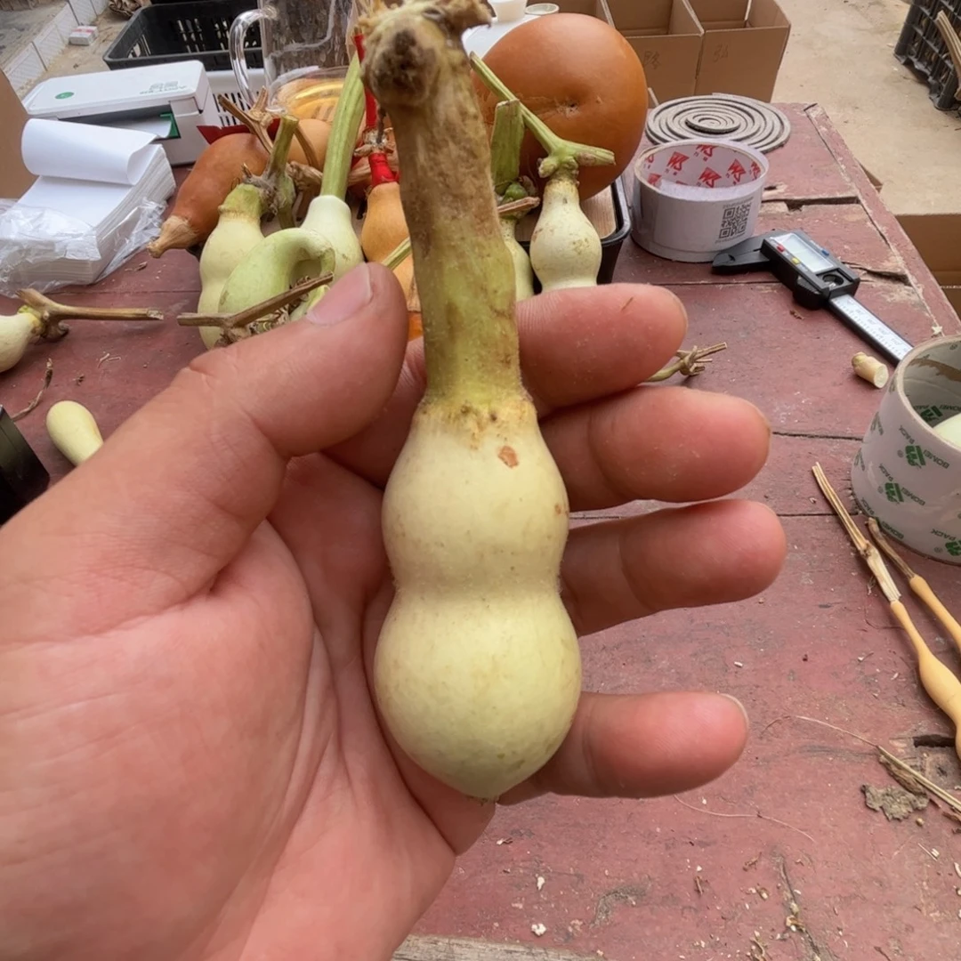 文玩葫芦吊坠项链