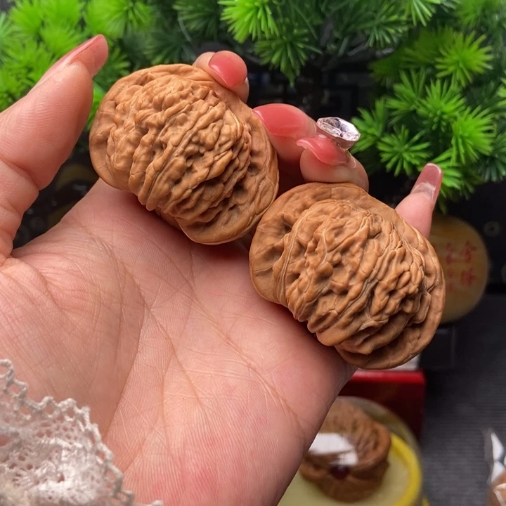 迈***线四座楼四座楼核桃