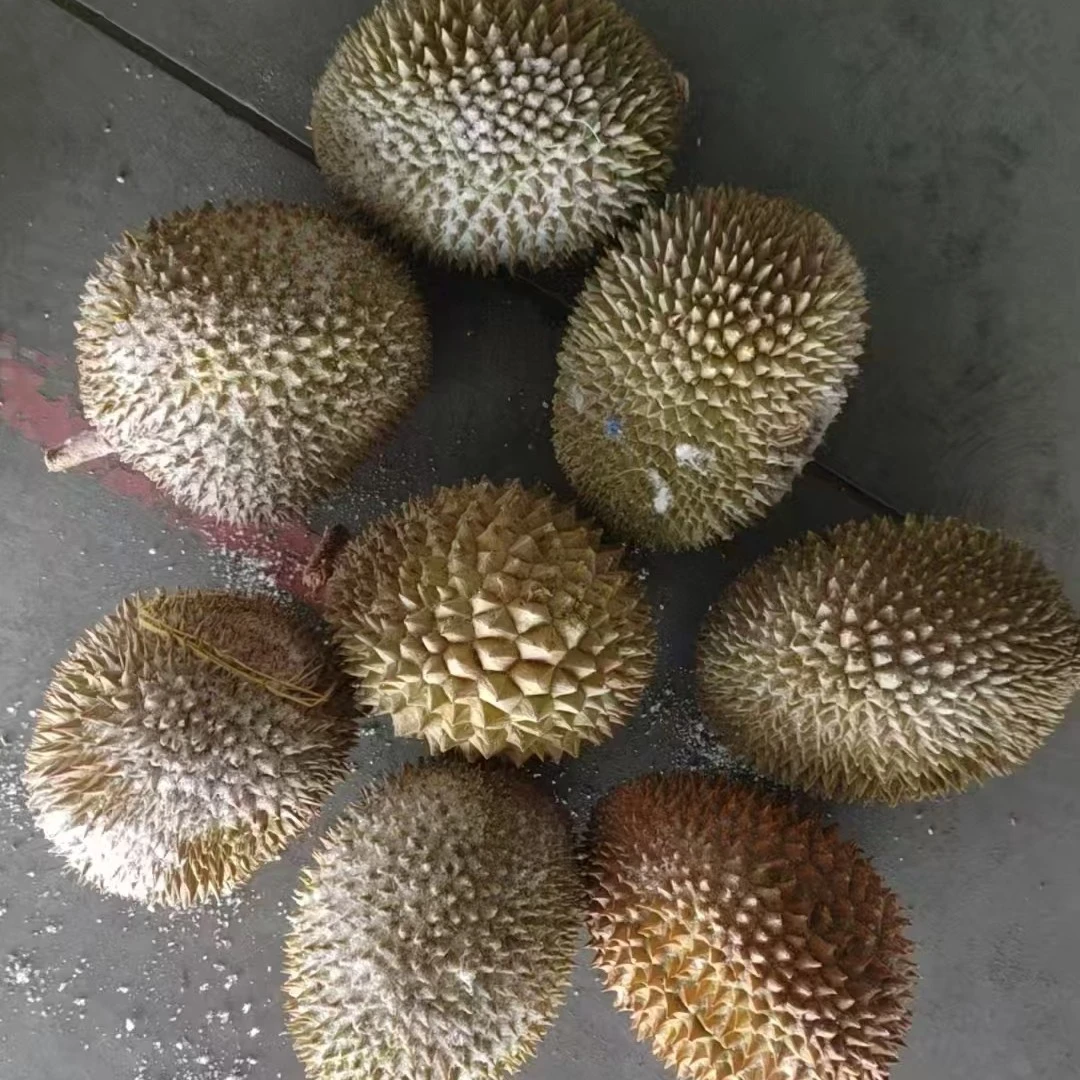液氮猫山王榴莲口感无敌带售后。新鲜，2.3斤～2.6斤猫山王布基纳法索