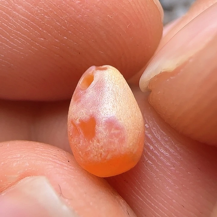 玛瑙/玉髓颈饰未镶嵌大****儿