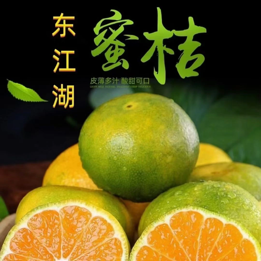 湖南资兴正宗清江无核青蜜桔新鲜应季水果肉厚化渣多汁橘子包邮