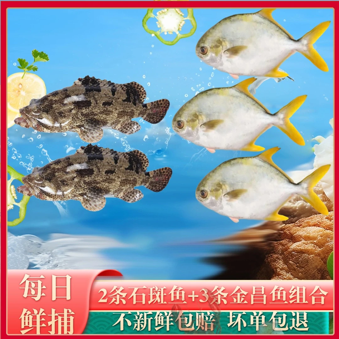 珍珠龙胆石斑鱼老虎斑*2+金鲳鱼*3海鲜深海鱼生鲜水产海鲜4-4.5斤