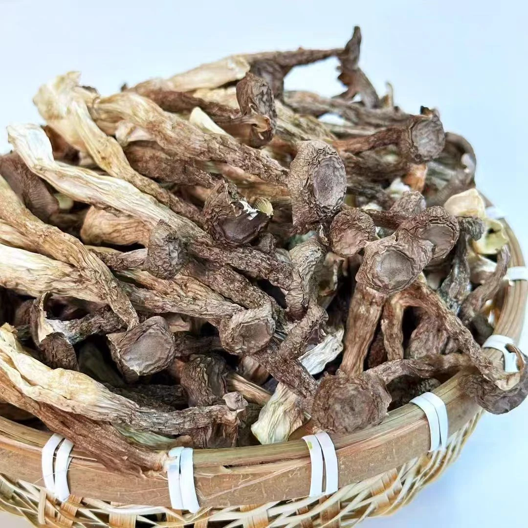 新货干货鹿茸菇农家特产无硫熏煲汤炖汤炒菜