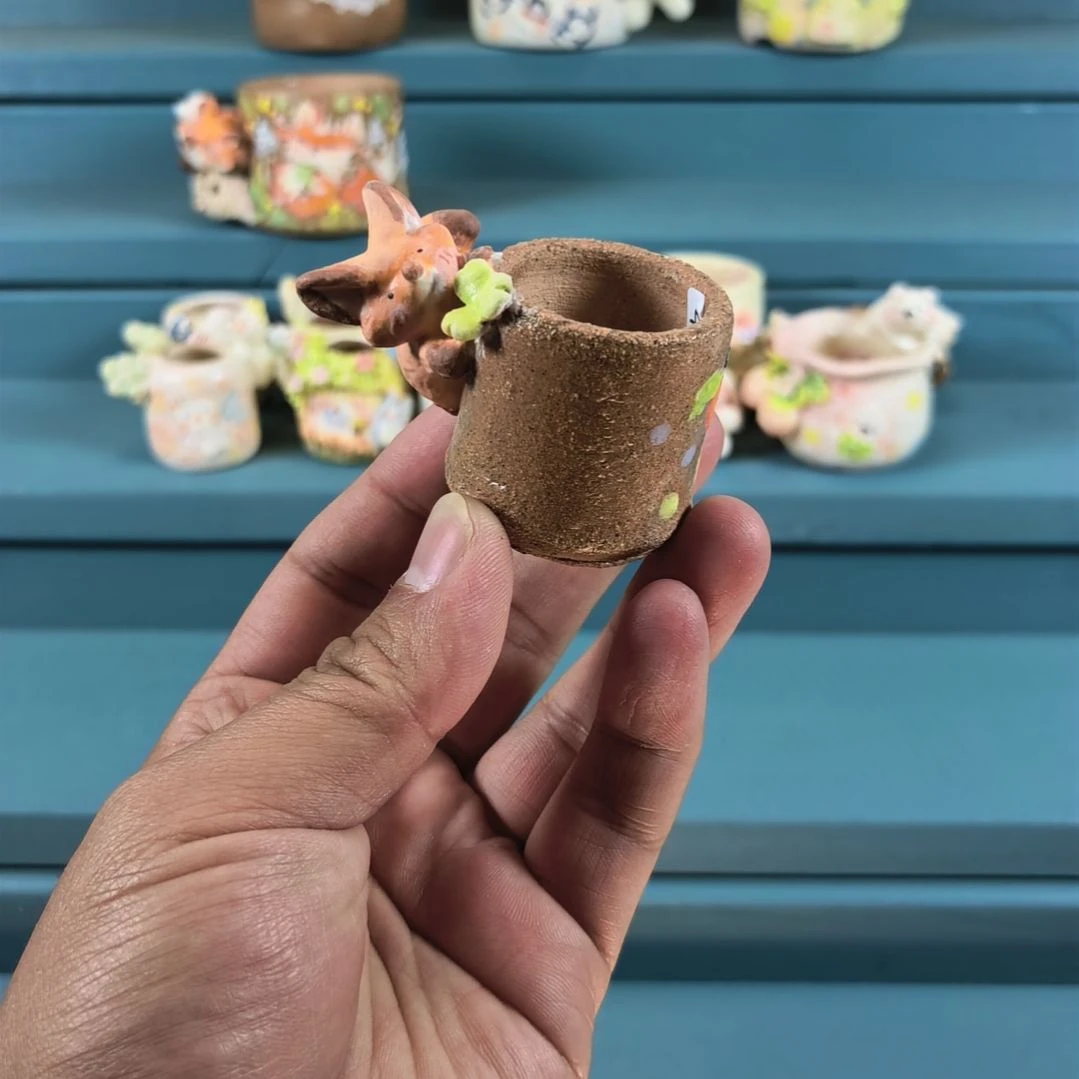 献花的小狐狸 手绘多肉花盆