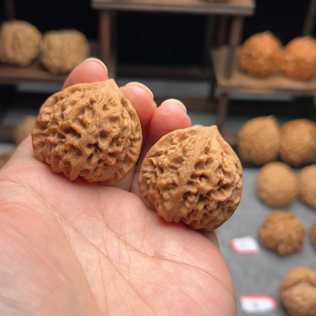 桃核把件小太行龙纹【3630】36.38.35