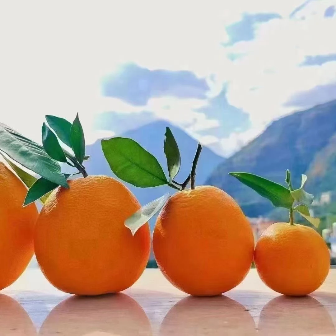 【四季助农】巫山纽荷尔脐橙橙子当季应季新鲜水果爆甜多汁包邮