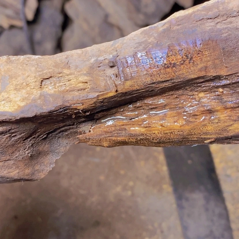 【闪购商品】贡木把件顺*定制定制新款