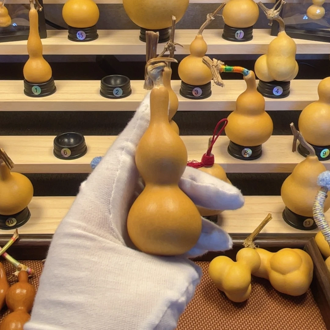 湘***西观音皮老皮厚皮小葫芦