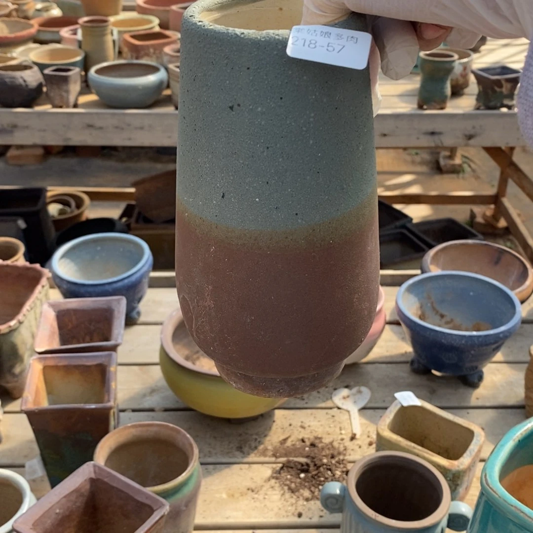 红陶小*謎57号多肉盆一个呀