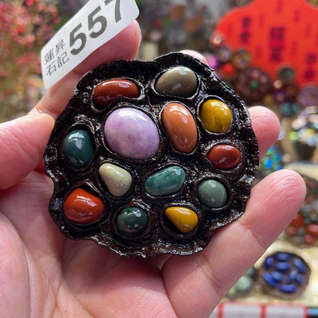 核桃木/黑胡桃（胡桃木）未*557