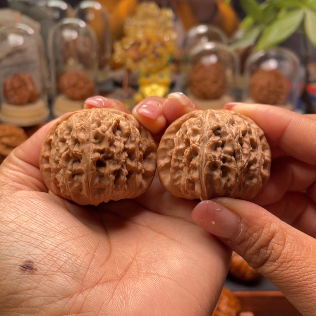 ***疯文玩核桃把件白狮子42