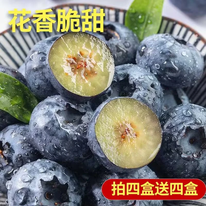 【云南高山蓝莓】新鲜采摘花香蓝莓酸甜脆爆汁