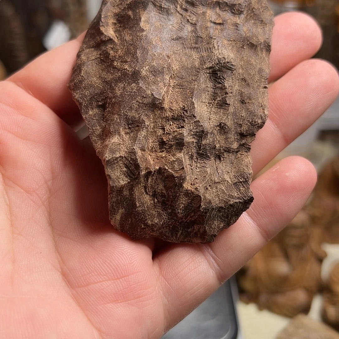 沉香沉香碎屑海南沉香板头7克