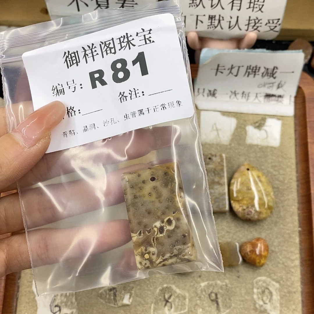 硅化珊瑚（珊瑚玉）未镶嵌颈饰一****儿