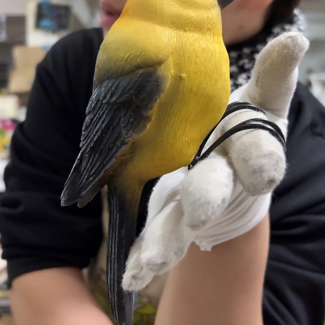 核桃木/黑胡桃（胡桃木）