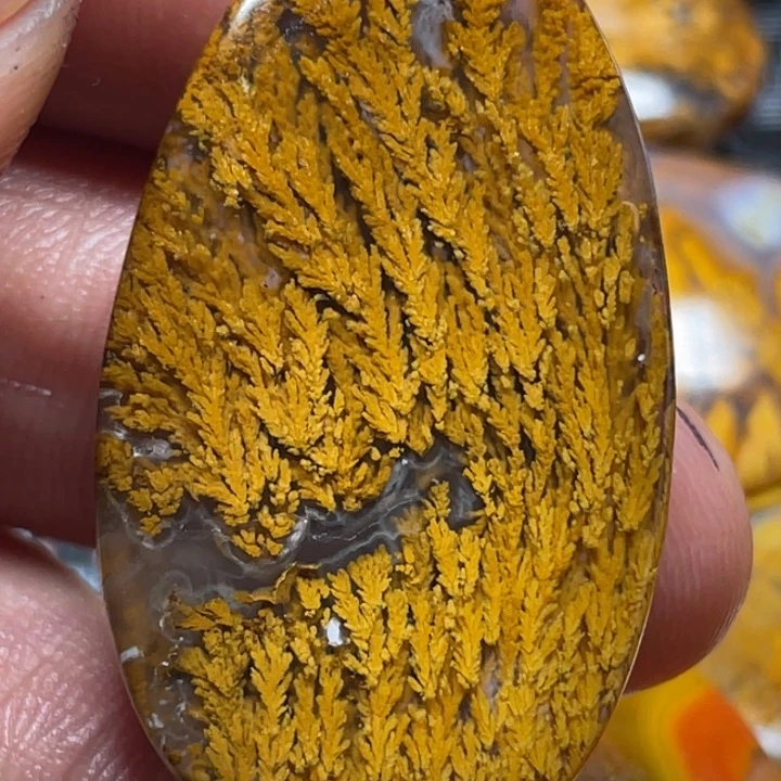 ****、玛瑙/玉髓颈饰未镶嵌