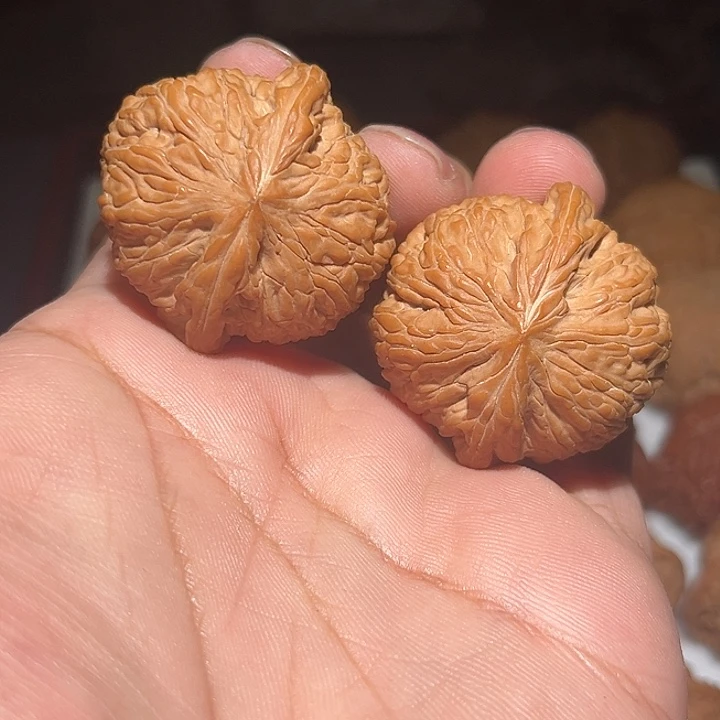 @***.木40泥鳅背。