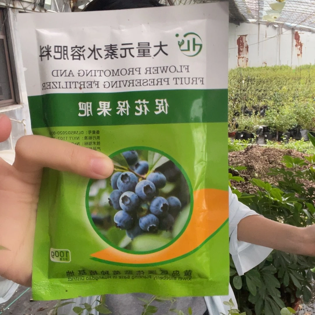 大量元素送两颗苔藓苗