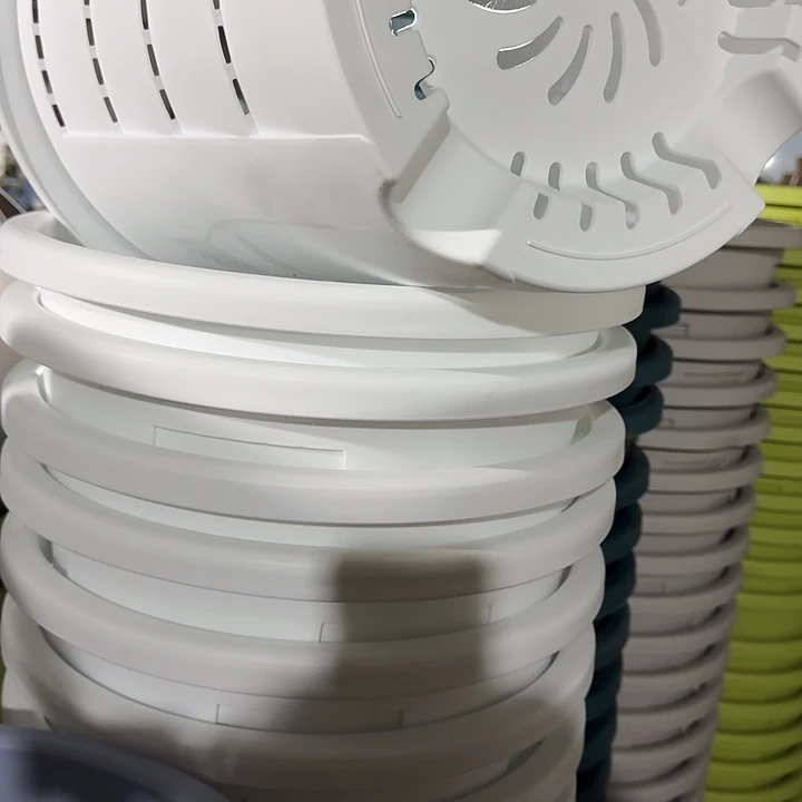 测7号5个白色的白色的