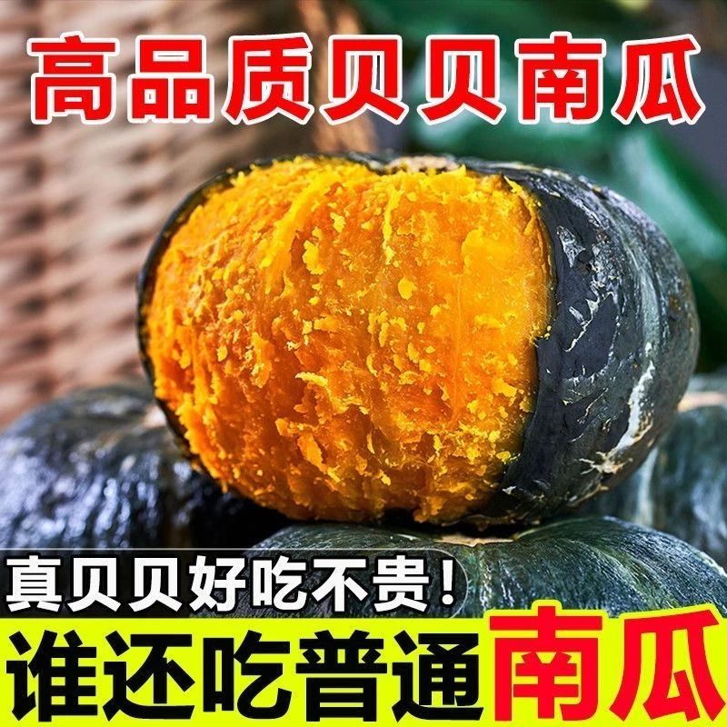 【露天生长】贝贝南瓜板栗味老南瓜粉糯香甜宝宝辅食粗粮好吃批发