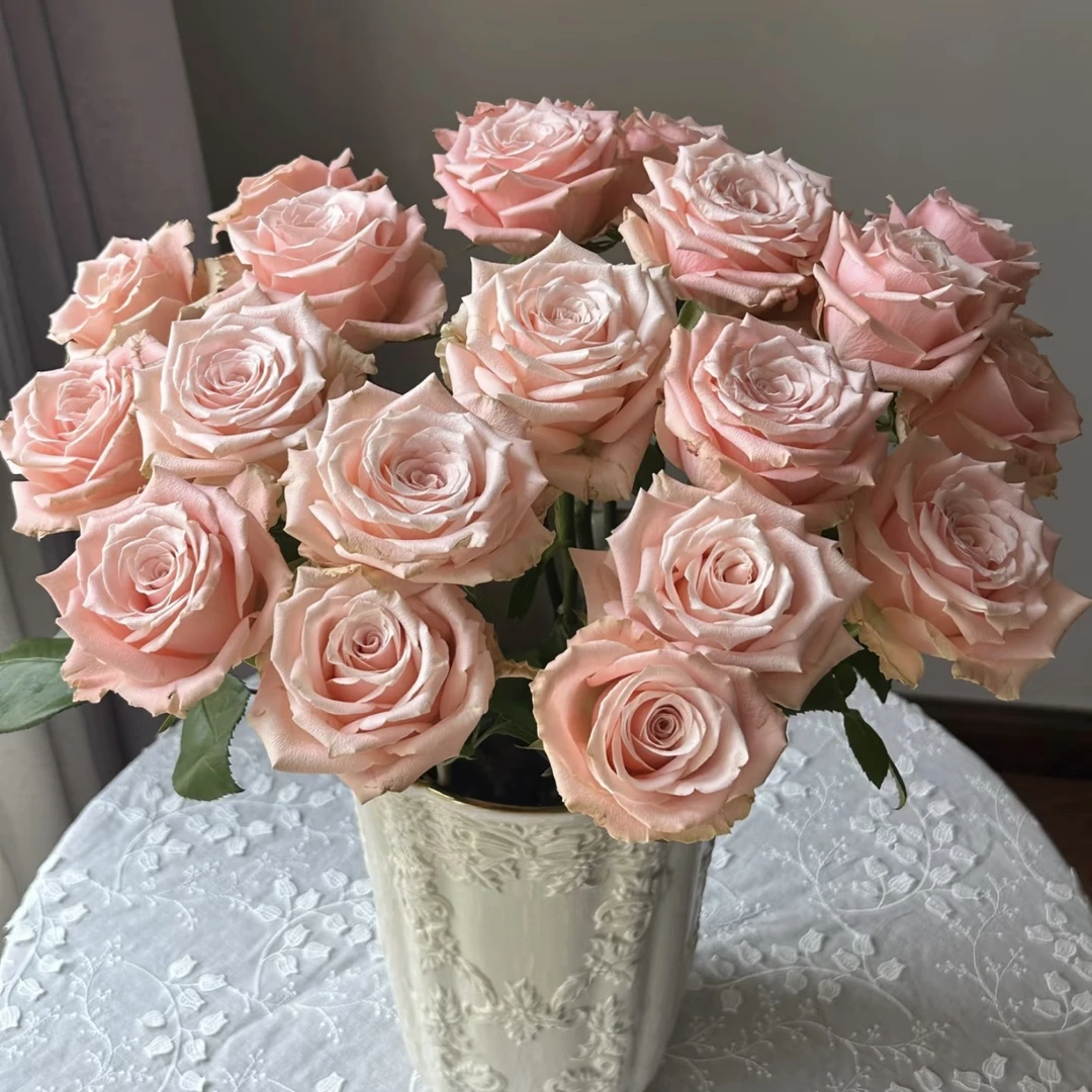 【杨鹏鲜花】杏仁奶糖 单头玫瑰 云南鲜花包邮
