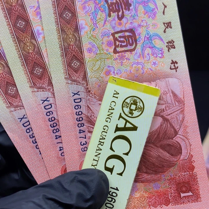 欢迎来到丁家璀璨金星尾