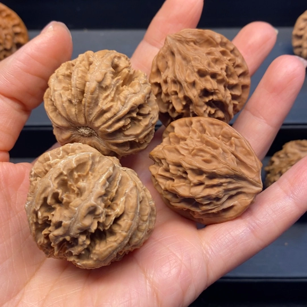 秦岭南侧和东北向两端形成四