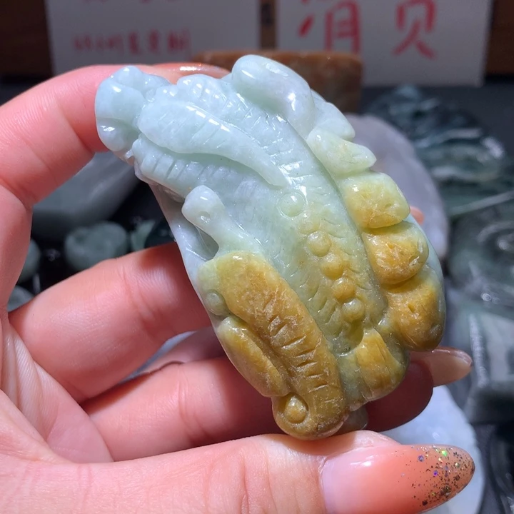 翡翠未镶嵌颈饰保真天然A货翡翠