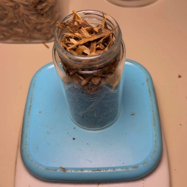 树脂制品张*华原母树20克