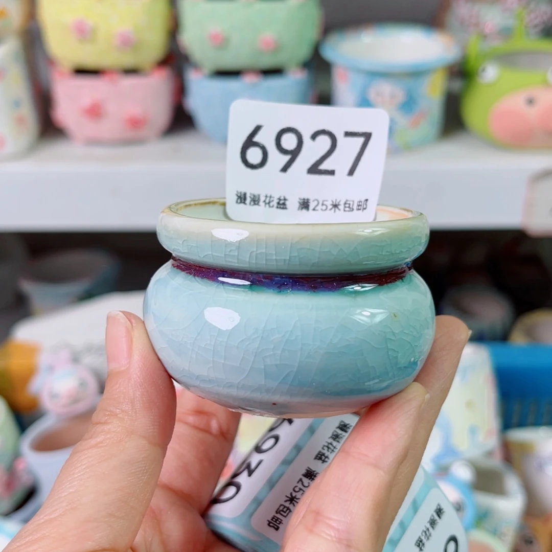景德镇手工制作6927口5
